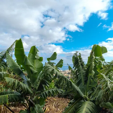 Guestready - Sweet Escape In Madeira